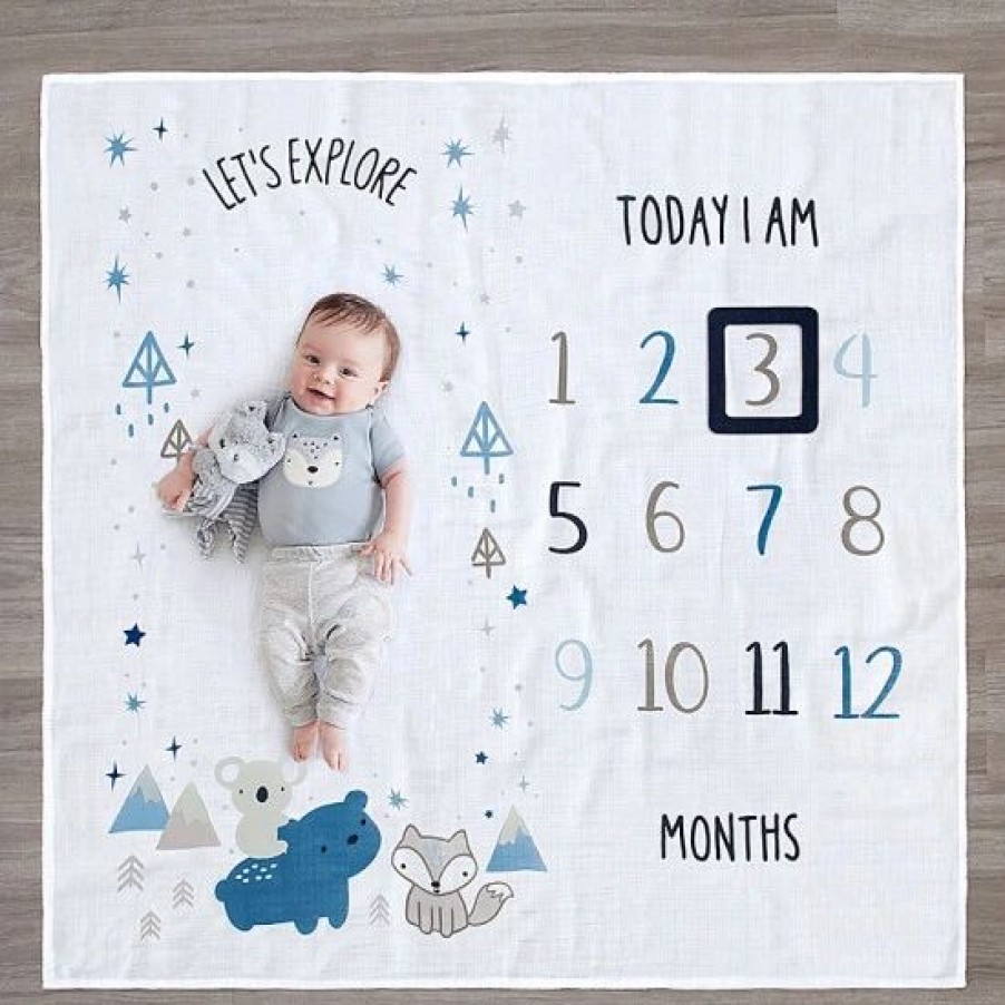 Bedding & Decor * | Gerber Explore Milestone Animals Cotton Muslin Blanket And Felt Frame In Blue